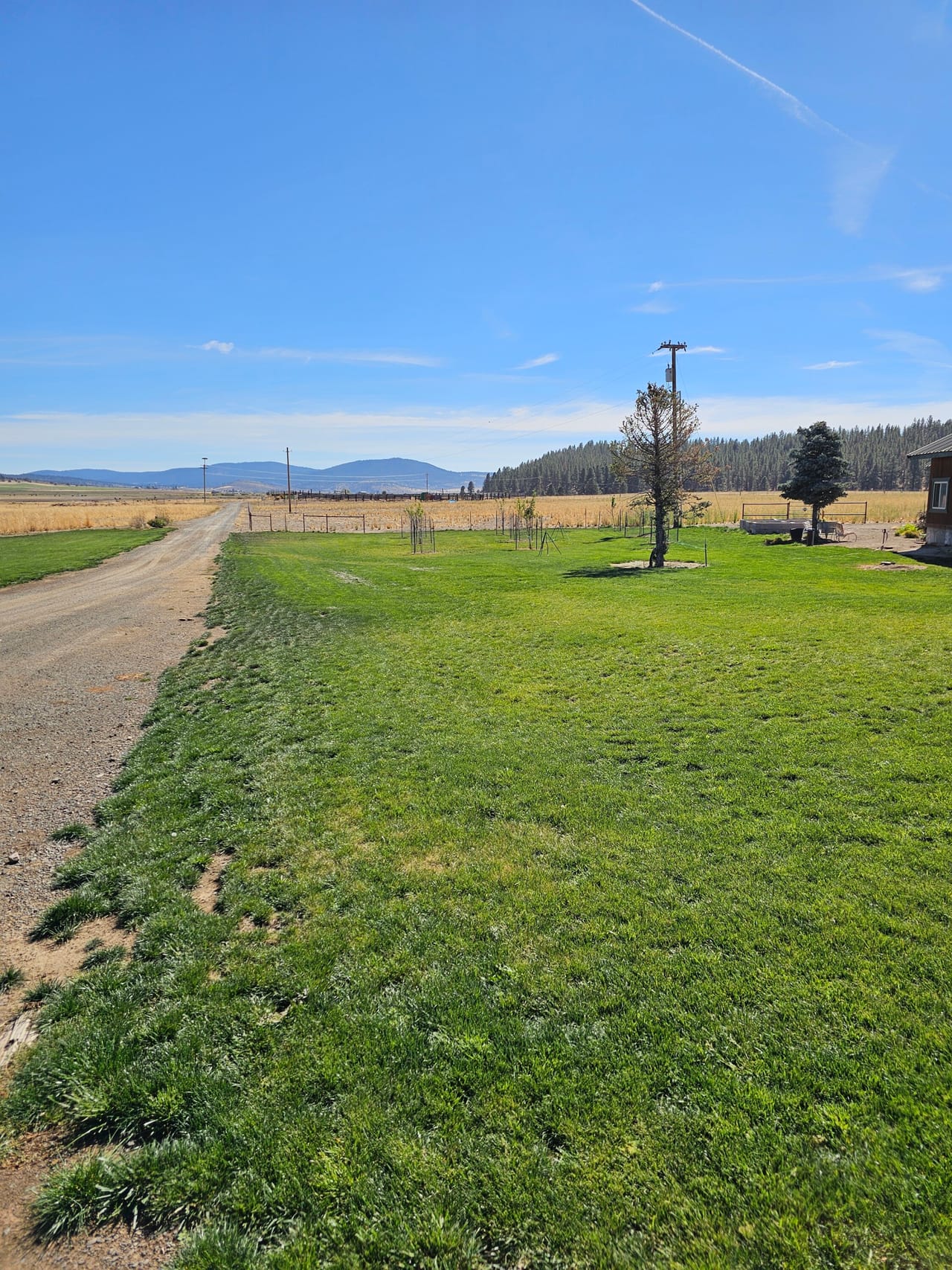 Listing Image 61