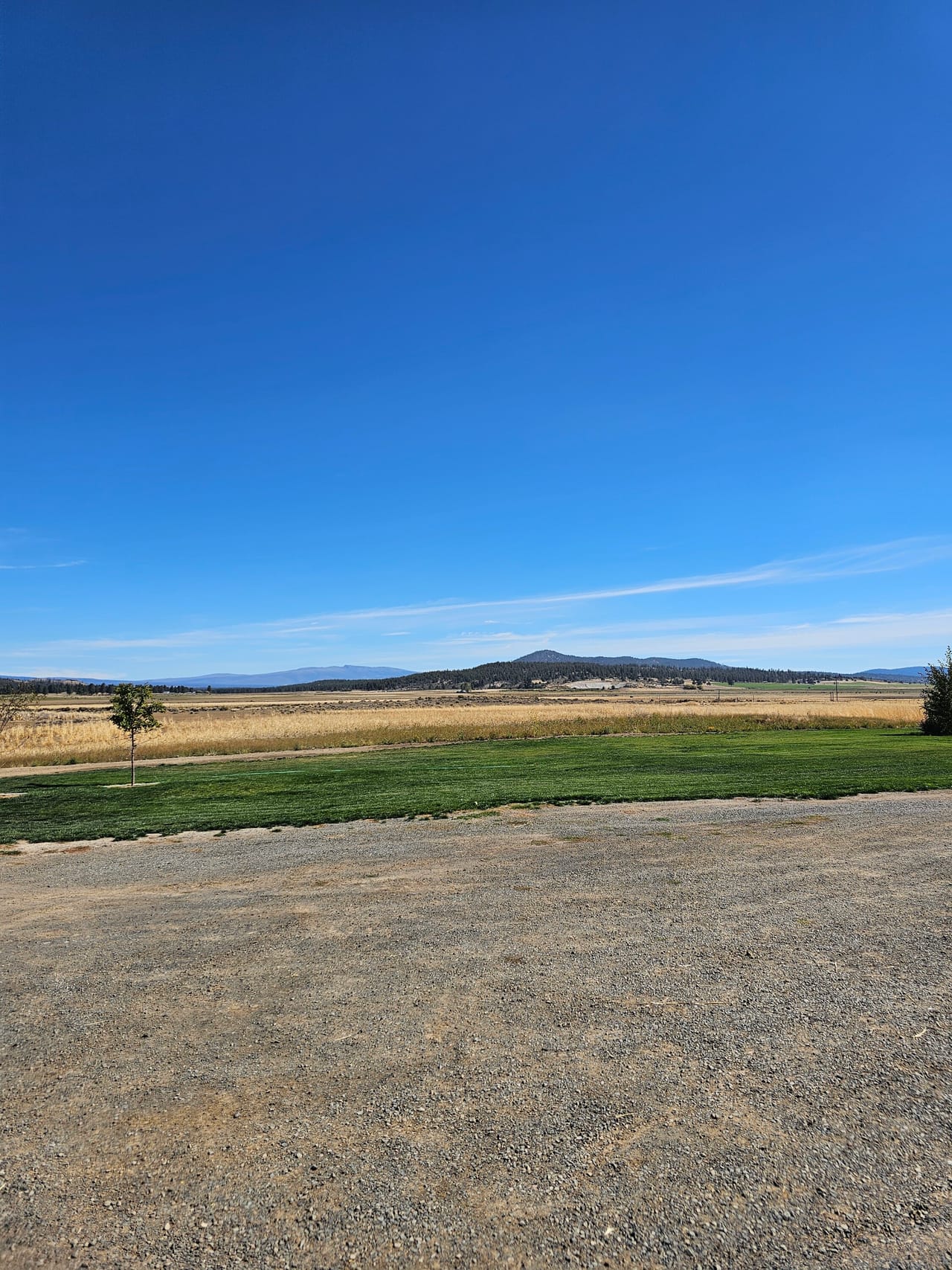 Listing Image 69