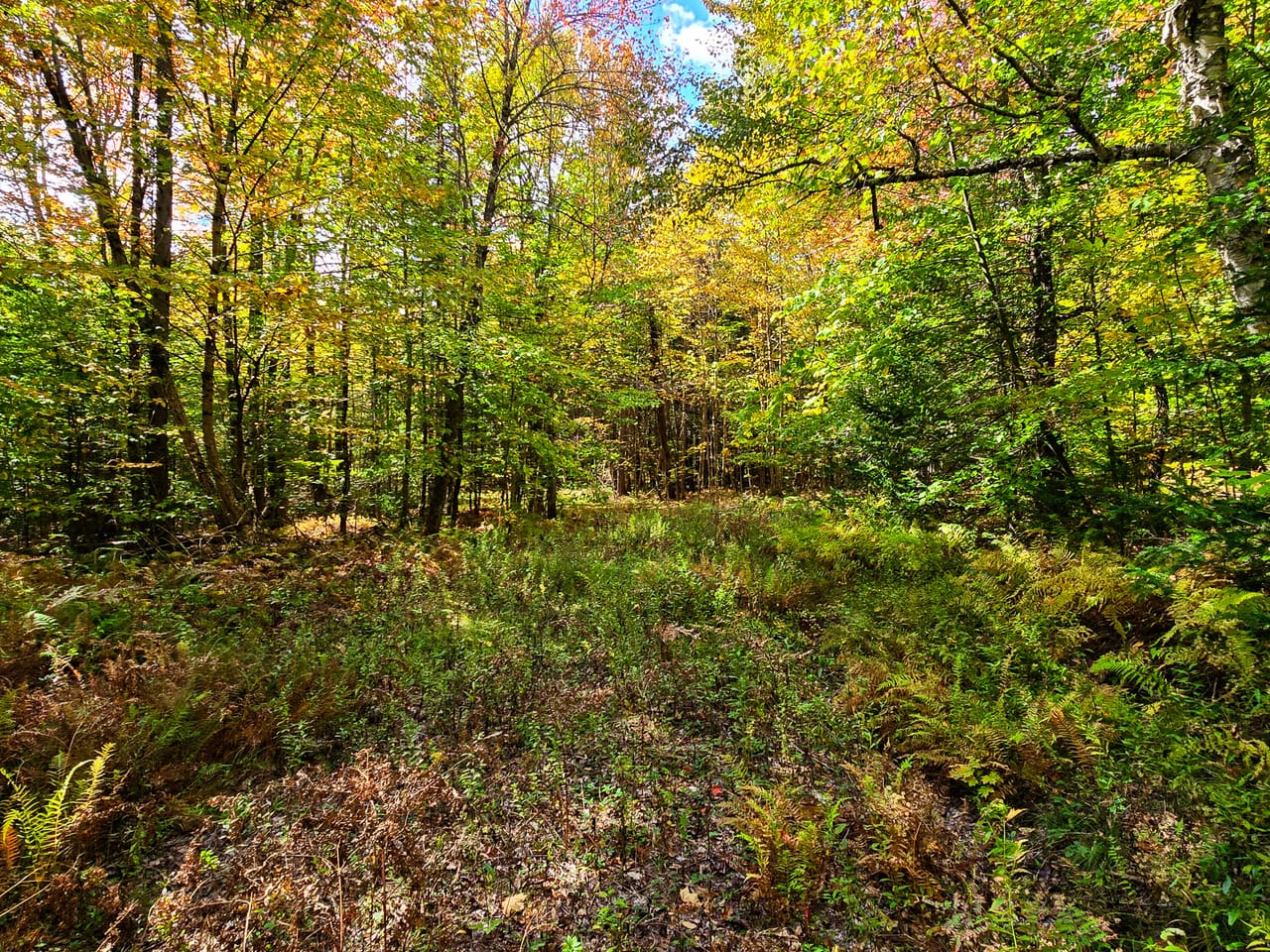 Listing Image 9