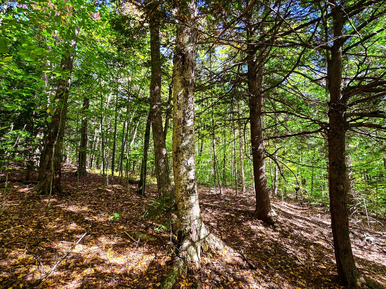 Listing Image 10