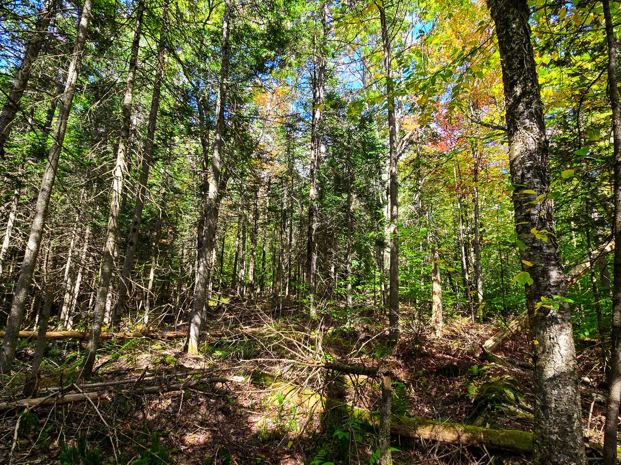 Listing Image 12