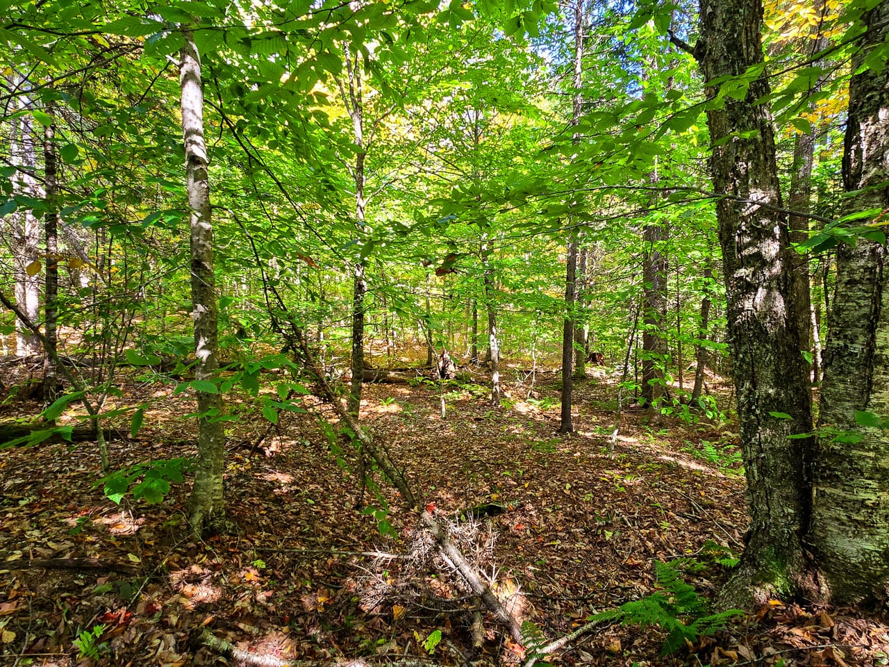 Listing Image 13