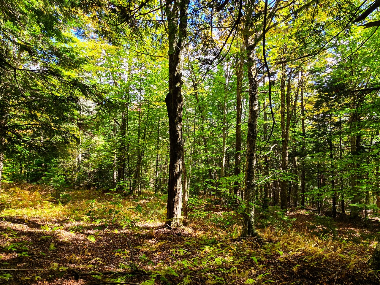 Listing Image 14