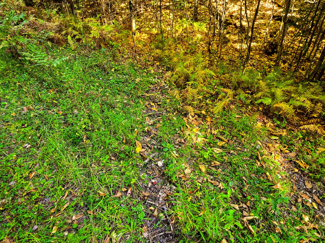 Listing Image 16