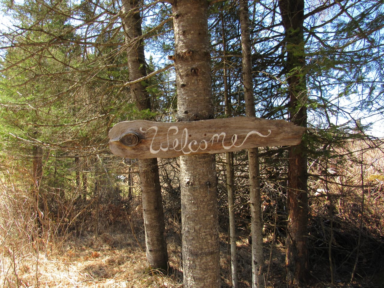 Listing Image 15