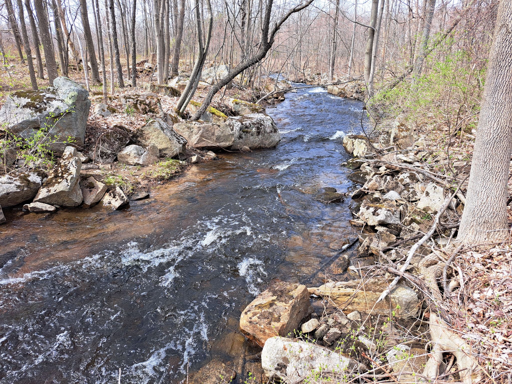 Listing Image 23