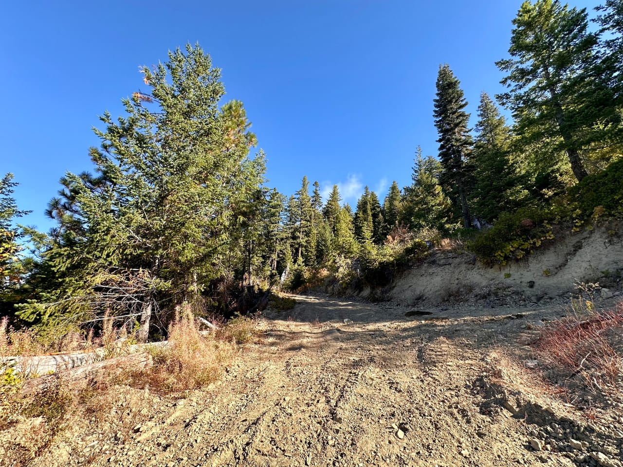 Listing Image 18