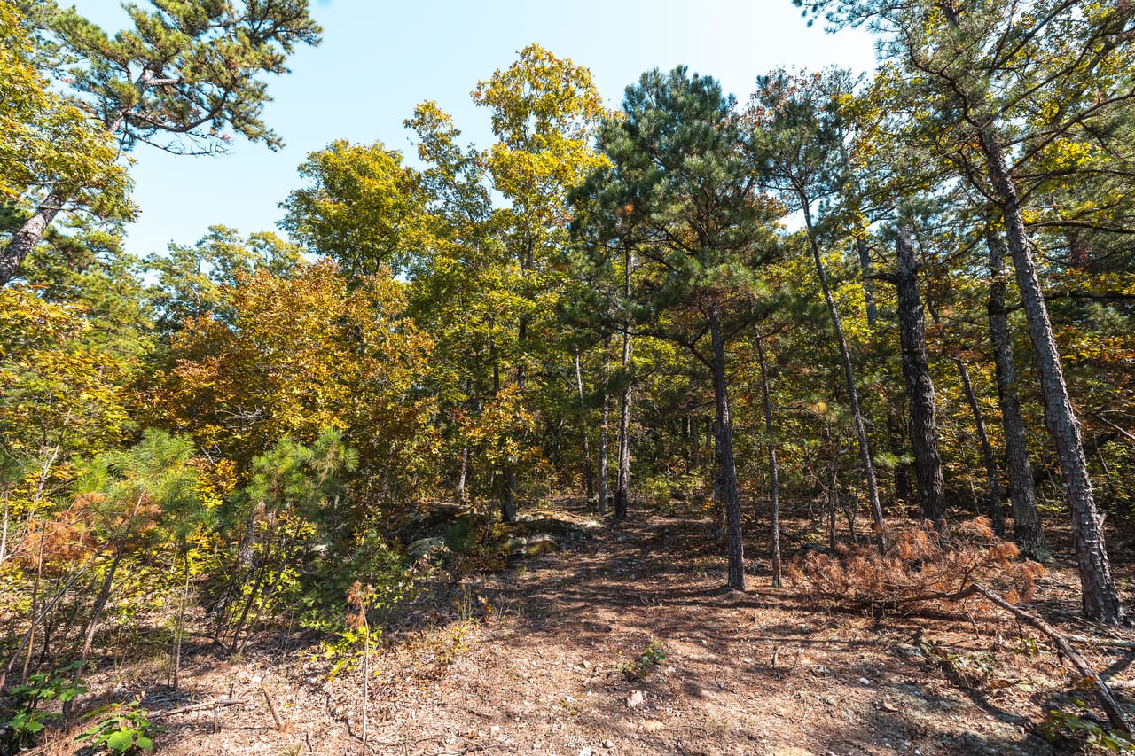 Listing Image 13