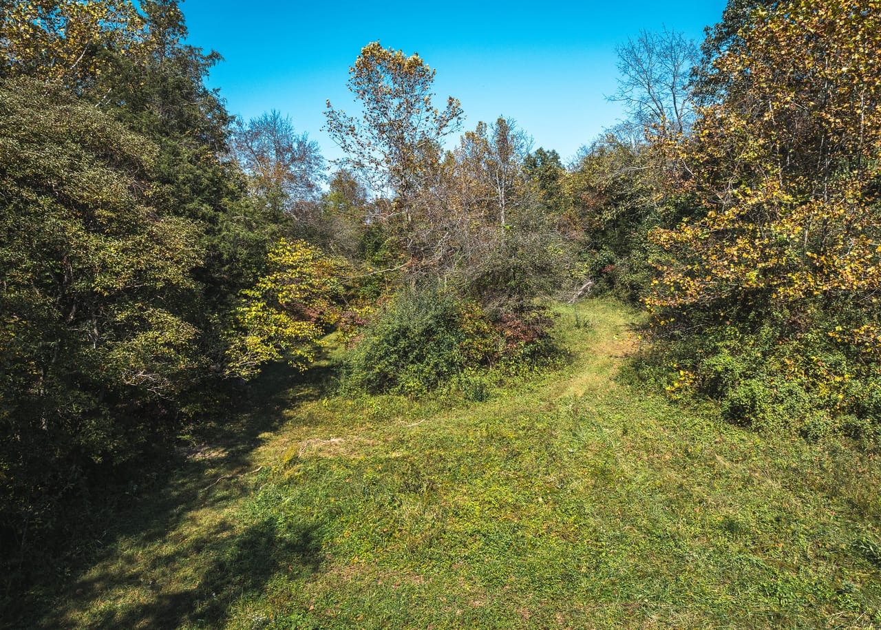 Listing Image 62