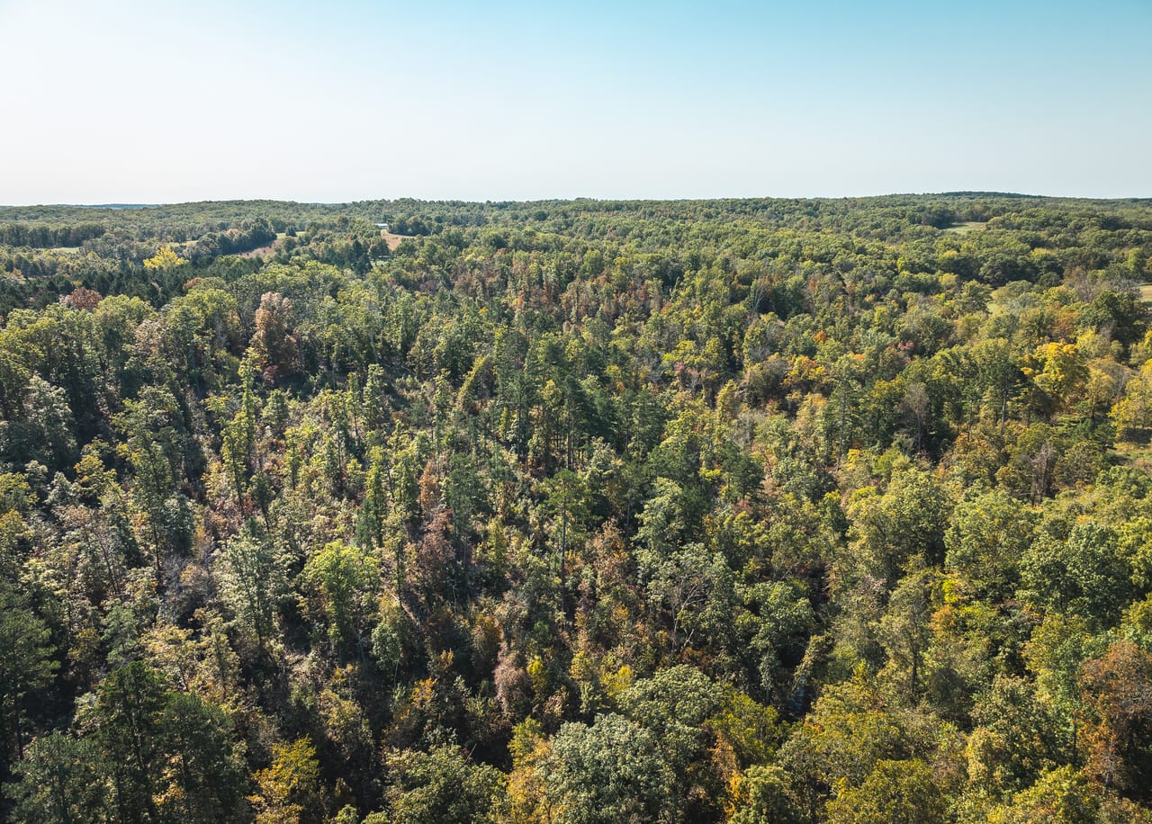 Listing Image 65