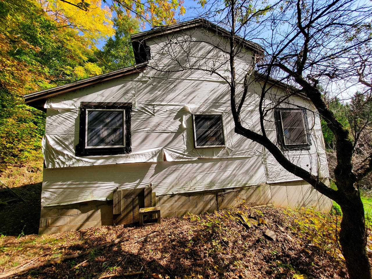 Listing Image 7