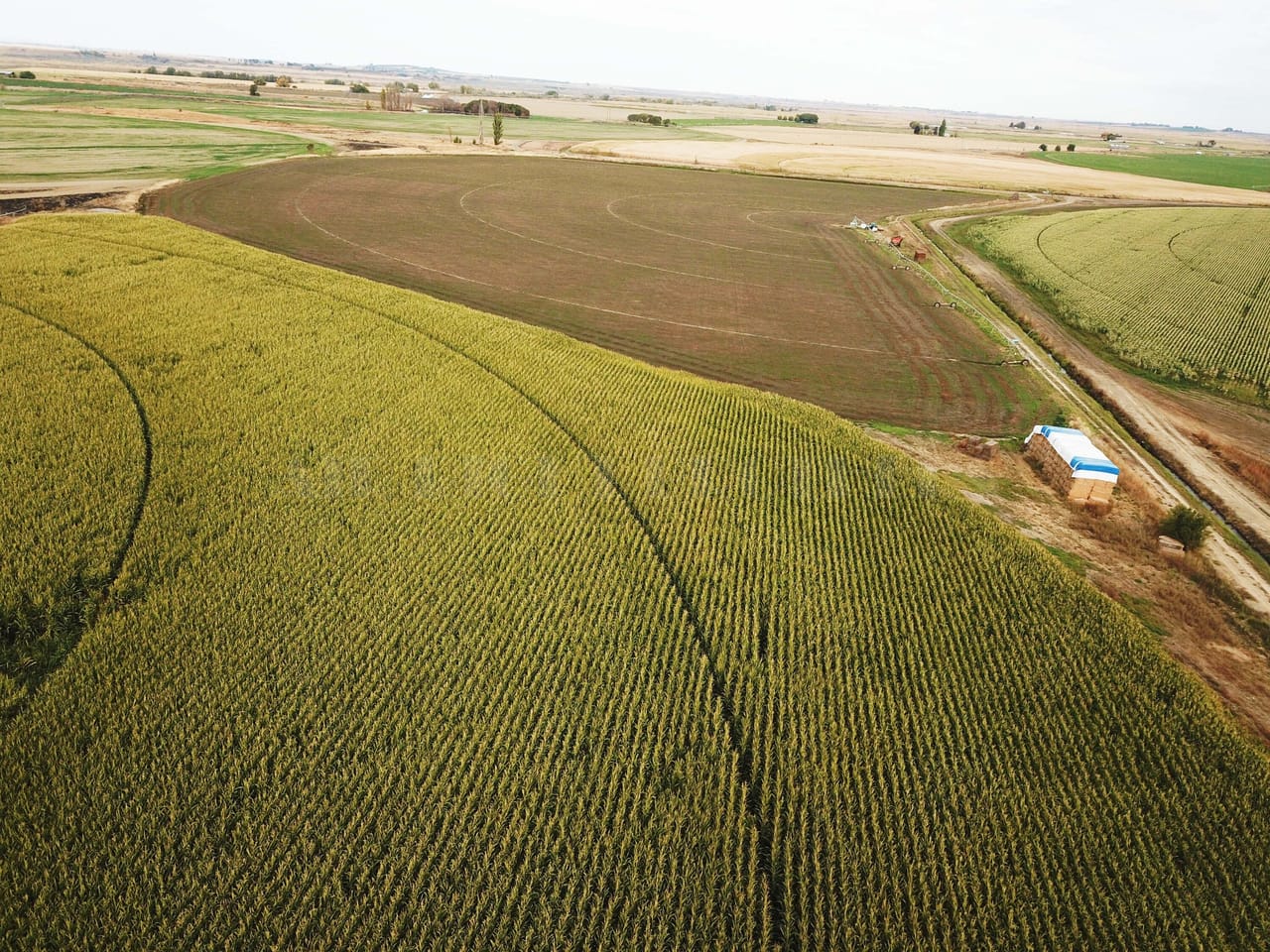 Listing Image 25