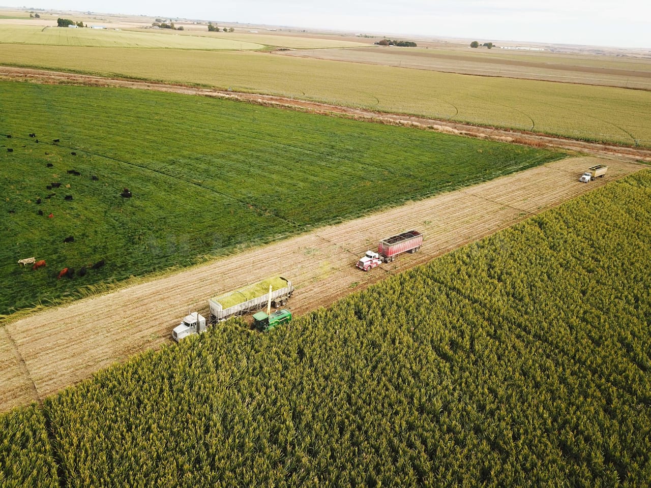 Listing Image 38
