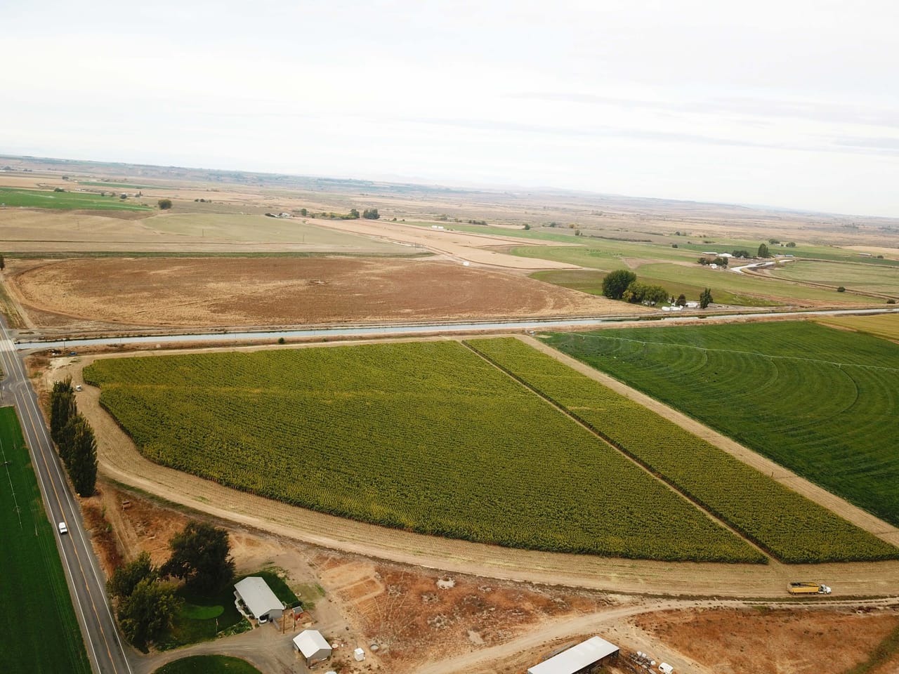 Listing Image 20