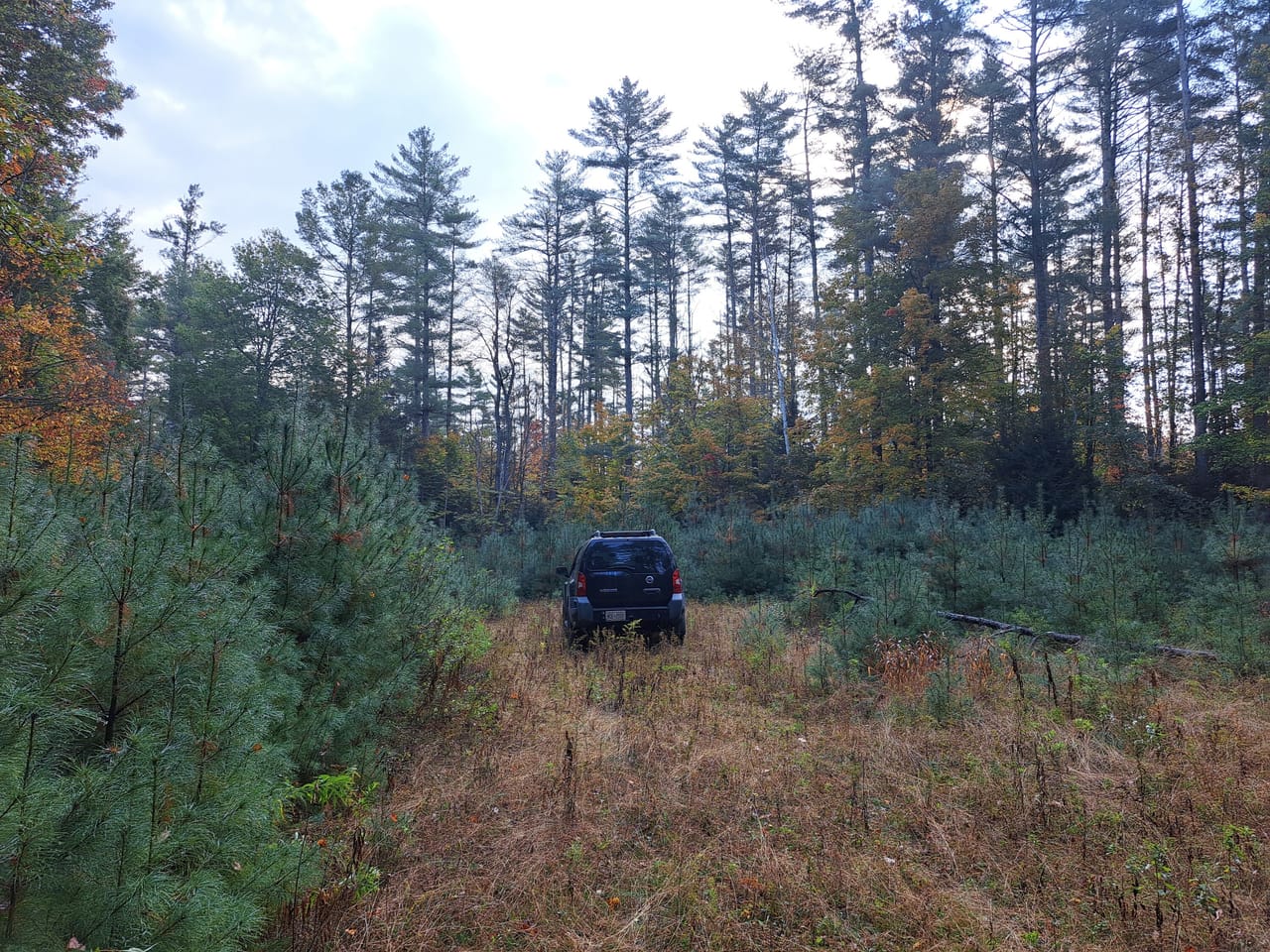 Listing Image 10