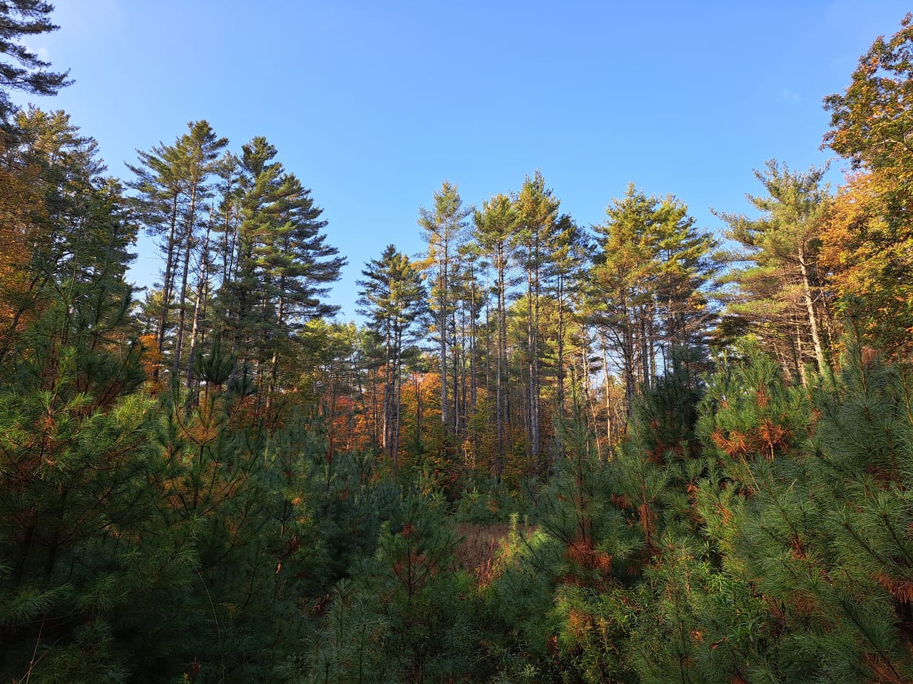 Listing Image 13