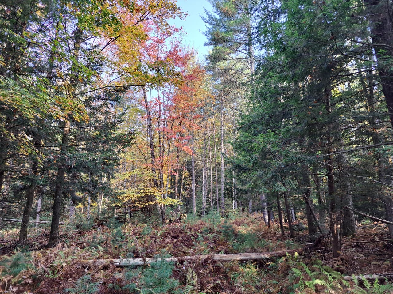 Listing Image 23