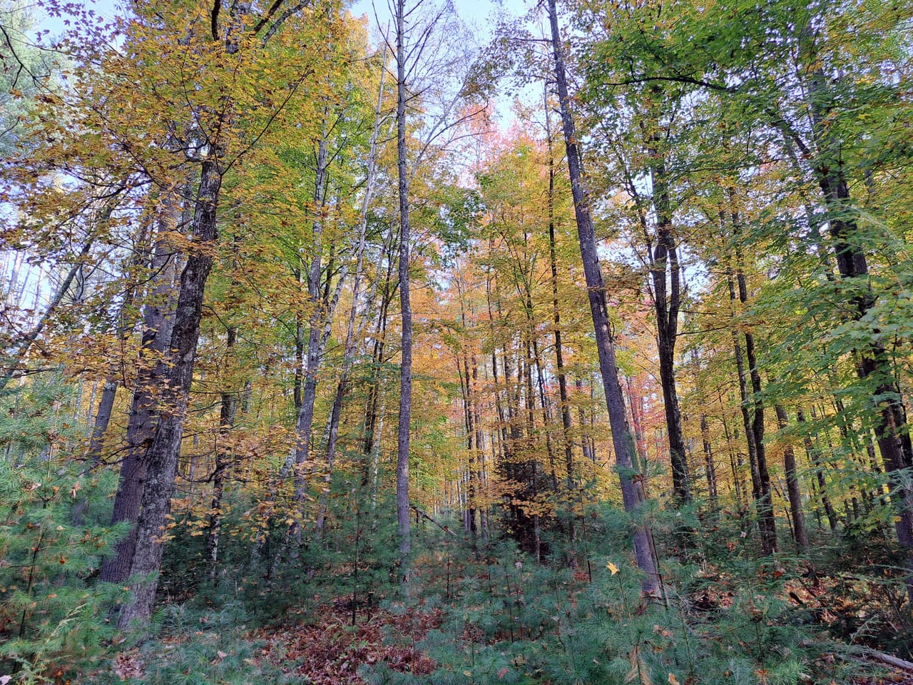 Listing Image 25