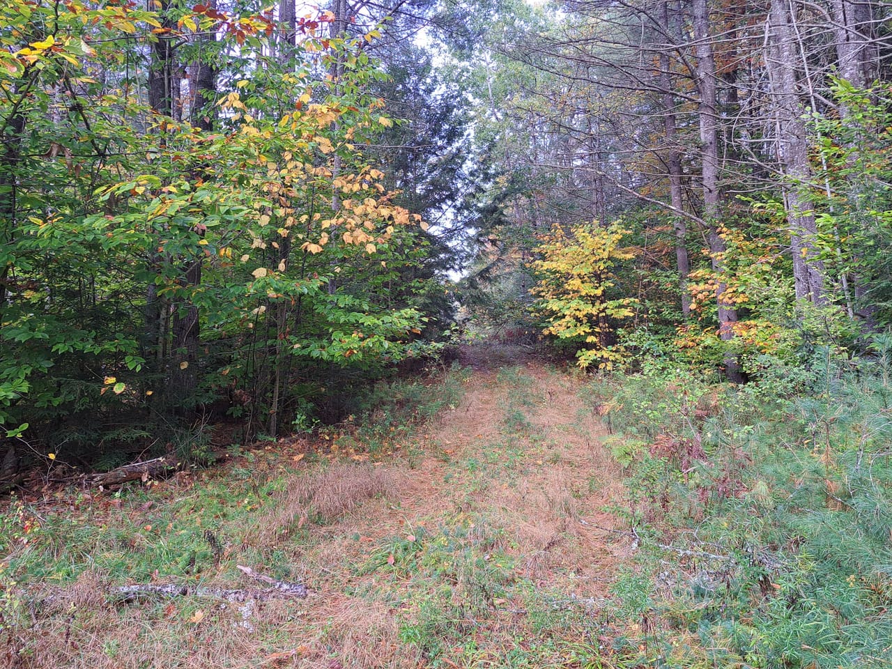 Listing Image 30