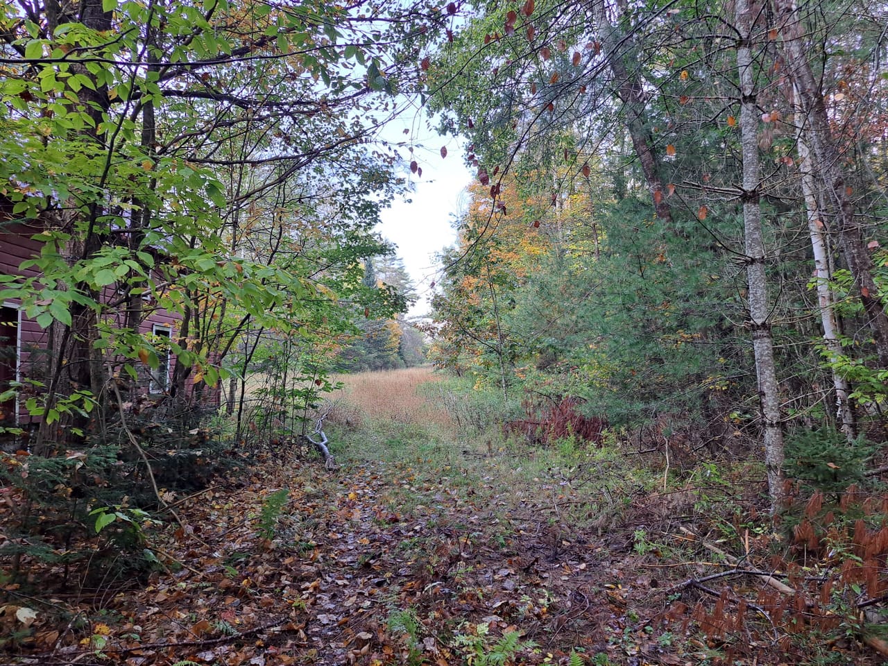 Listing Image 32