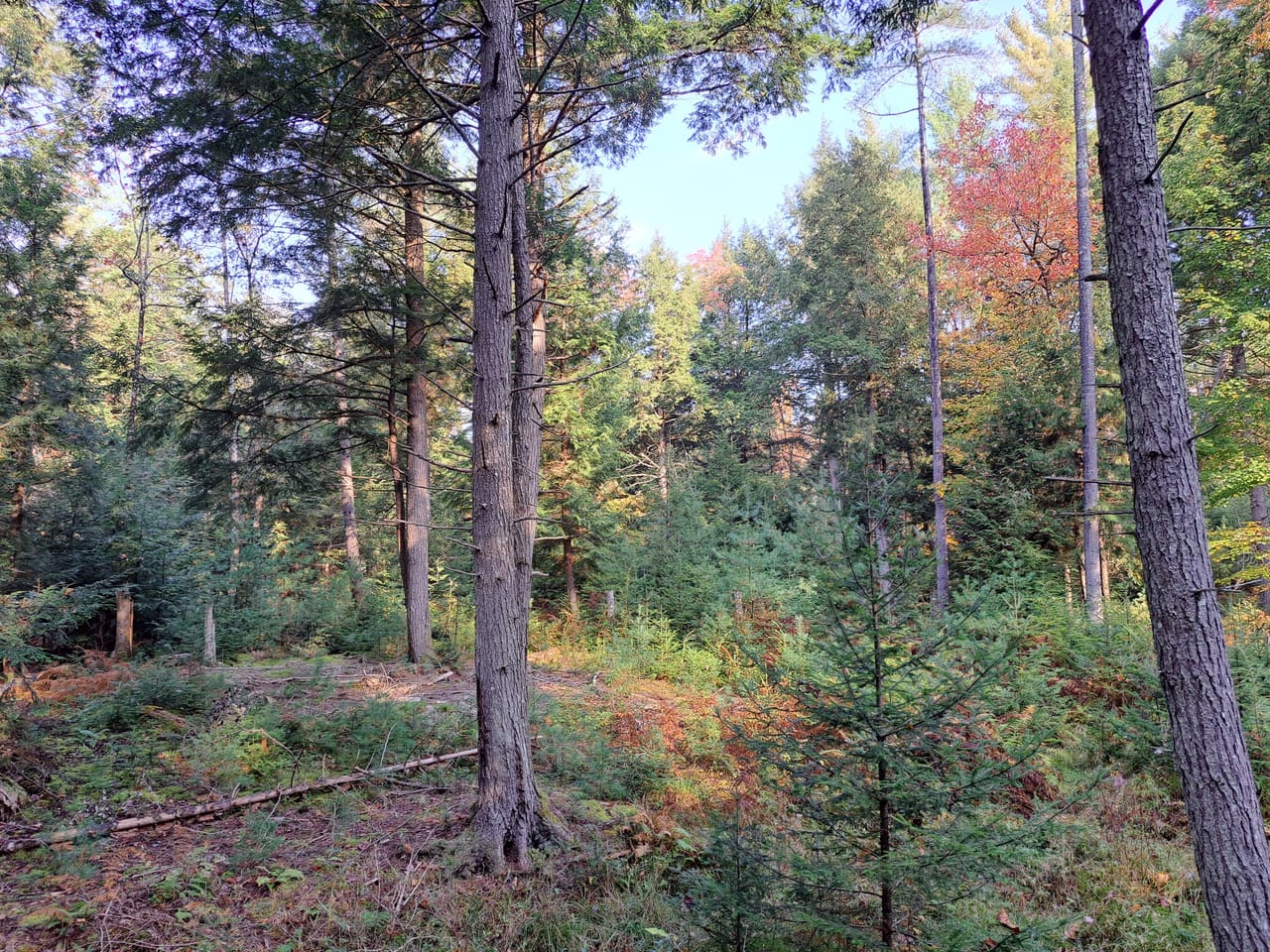 Listing Image 44