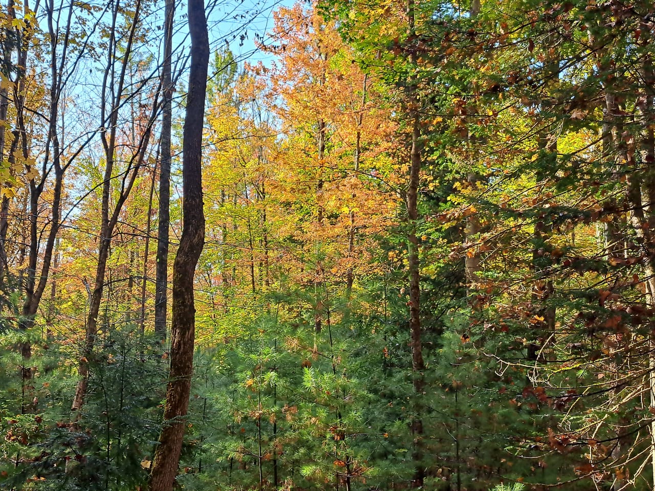 Listing Image 4
