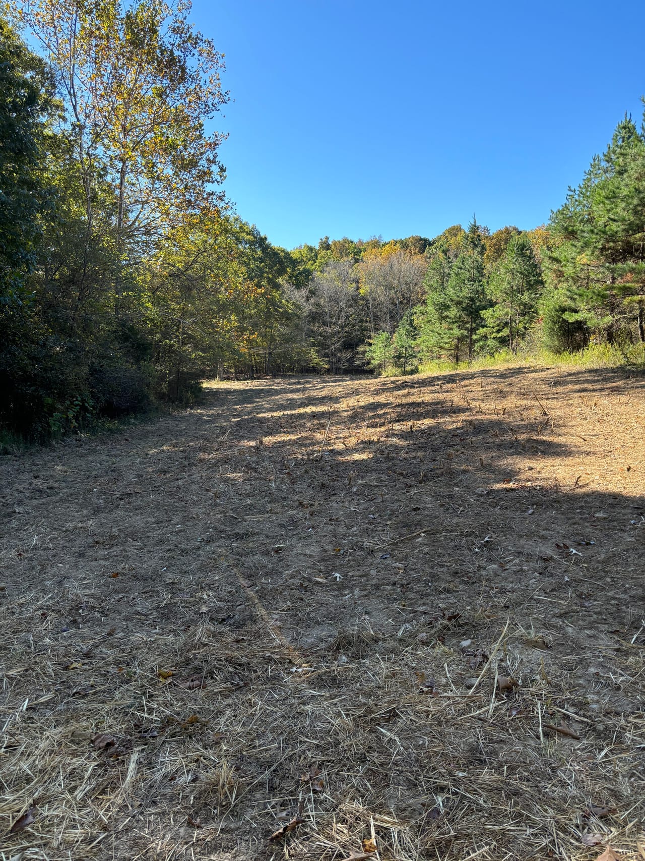 Listing Image 44