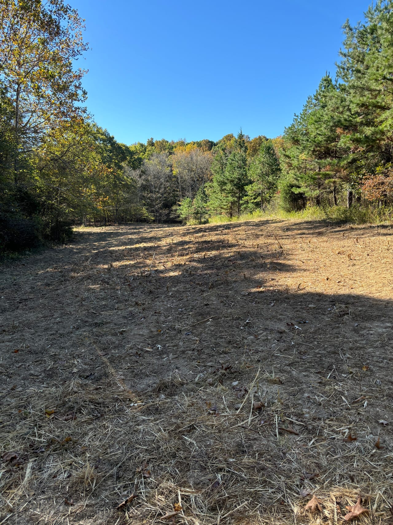 Listing Image 45