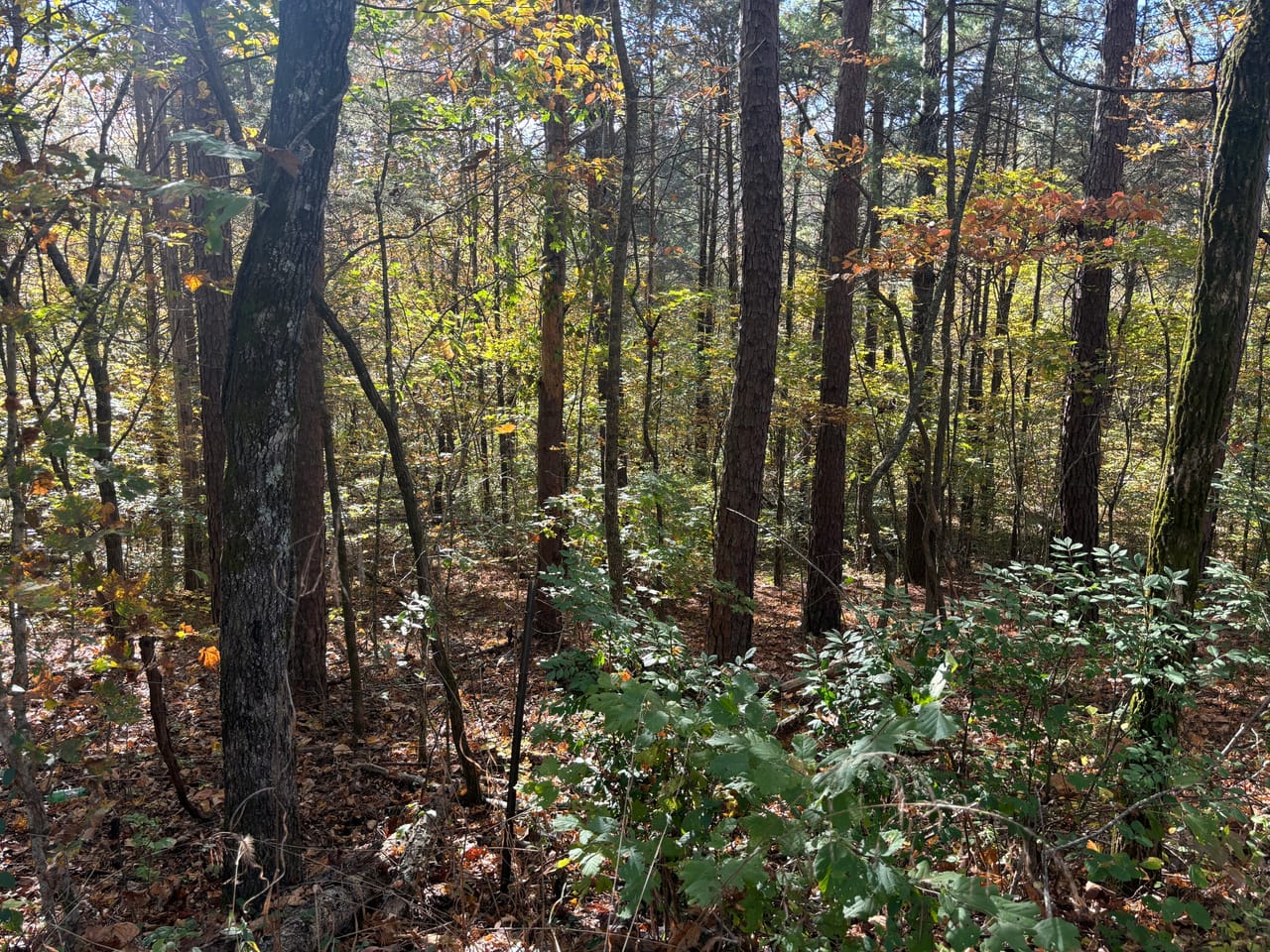 Listing Image 11