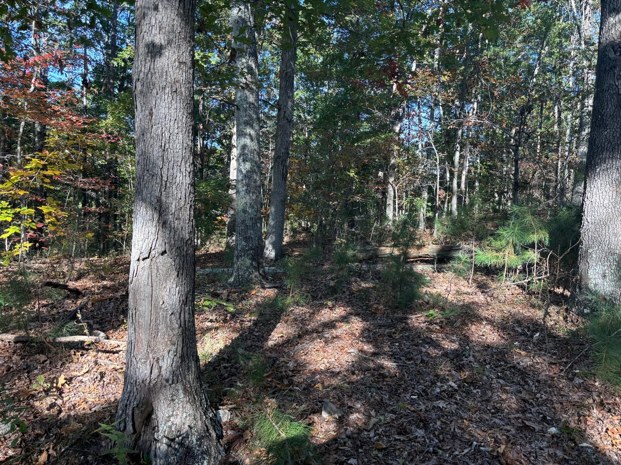 Listing Image 13