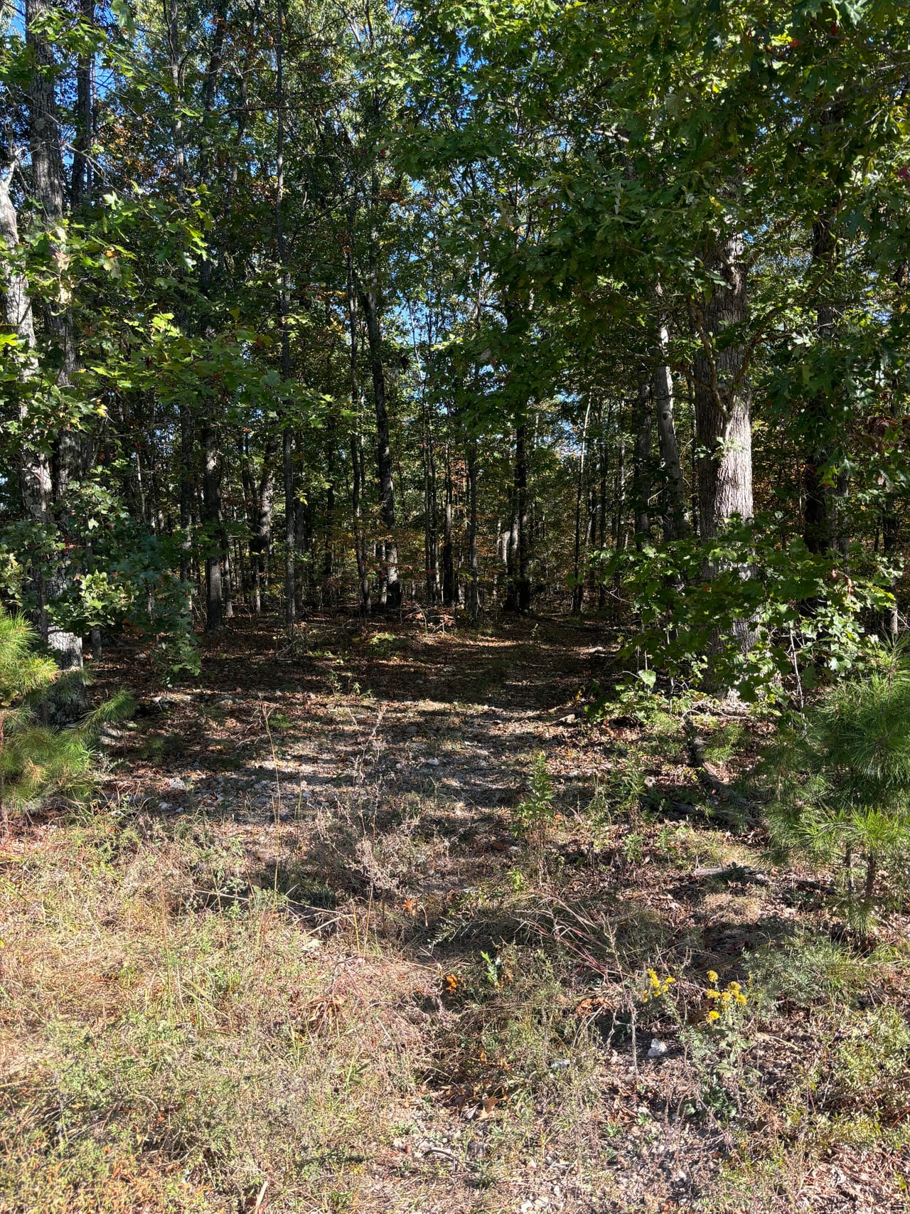Listing Image 14