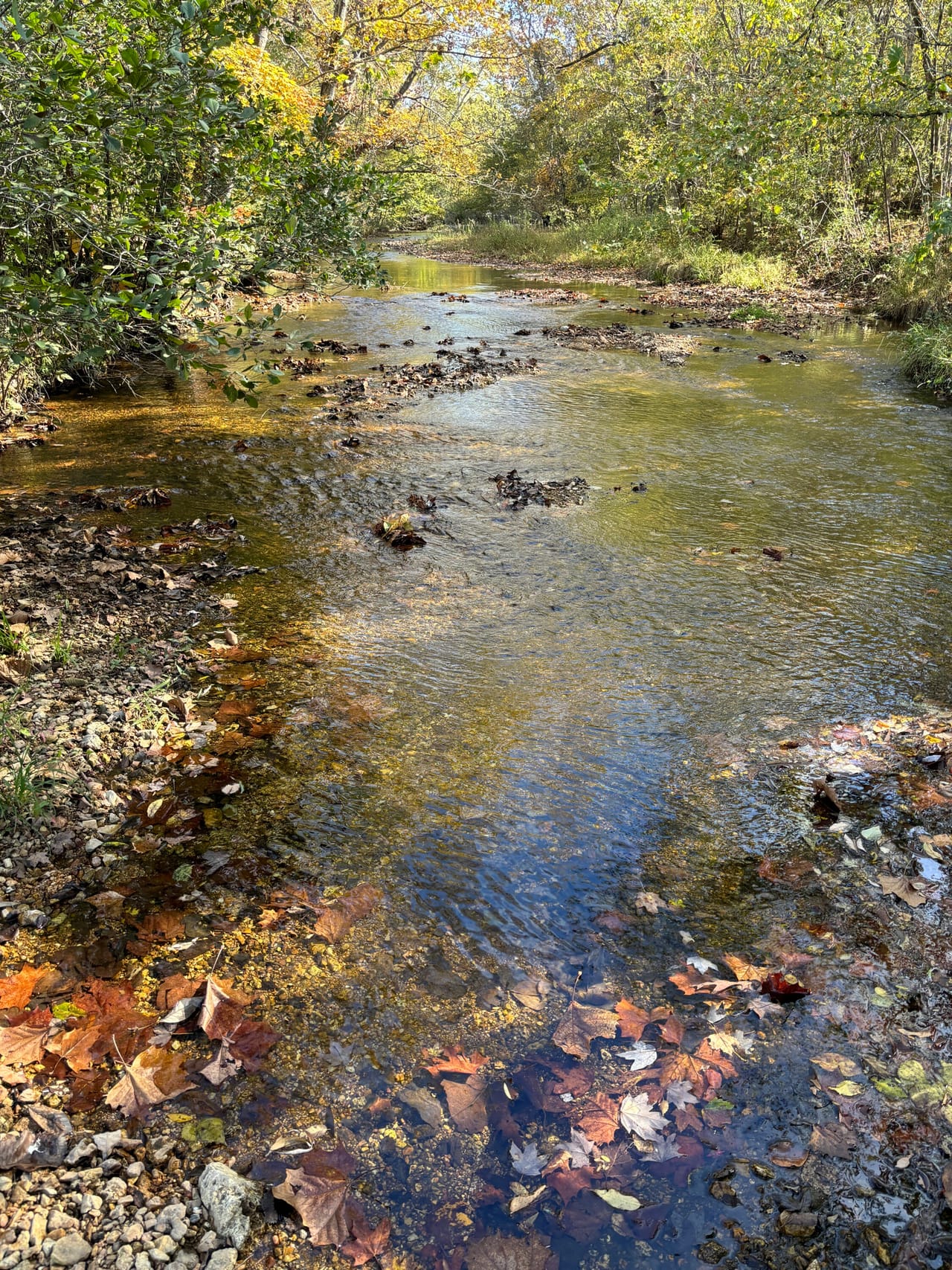 Listing Image 17
