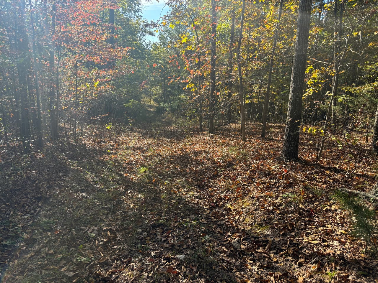Listing Image 21