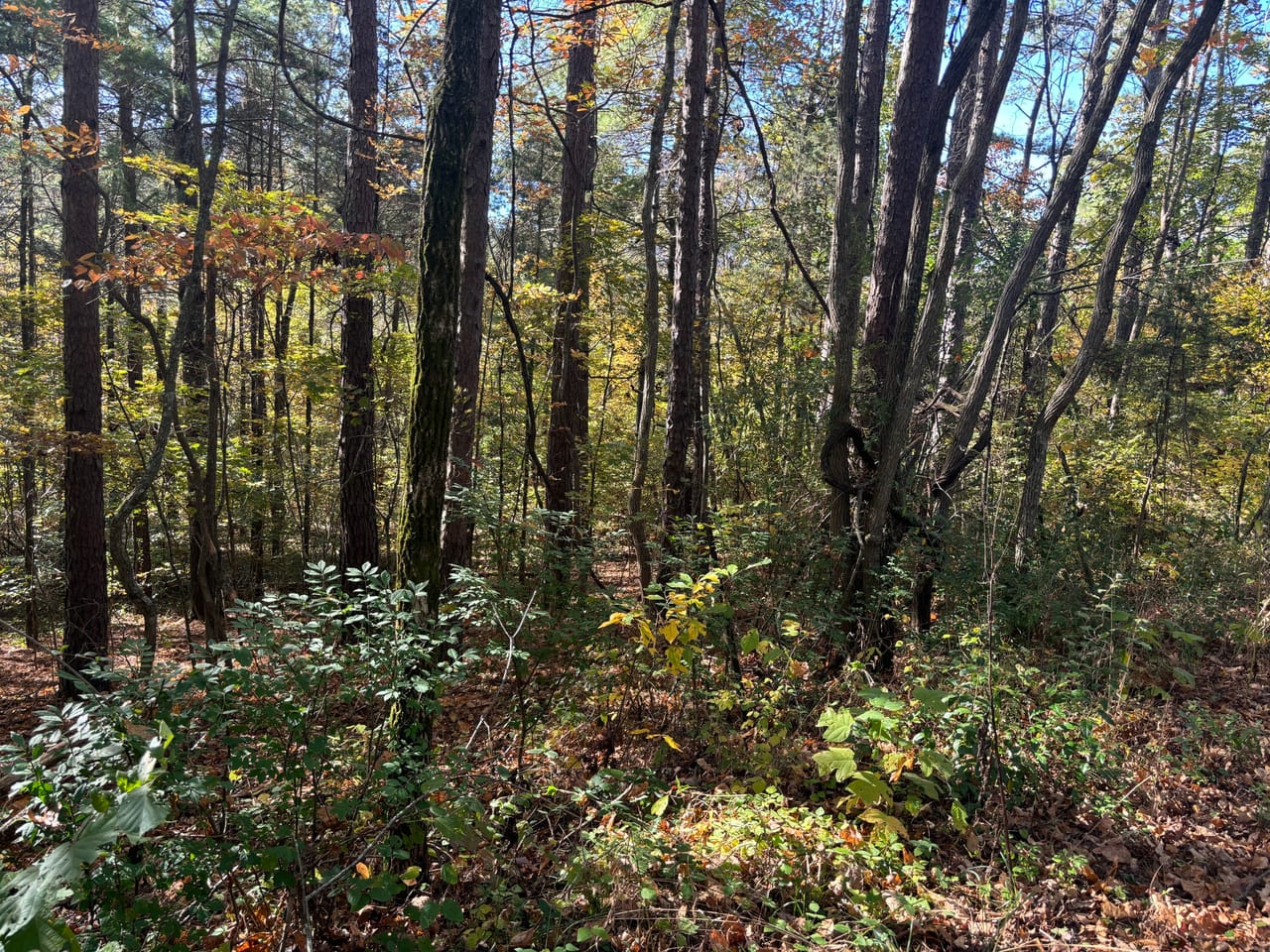 Listing Image 23