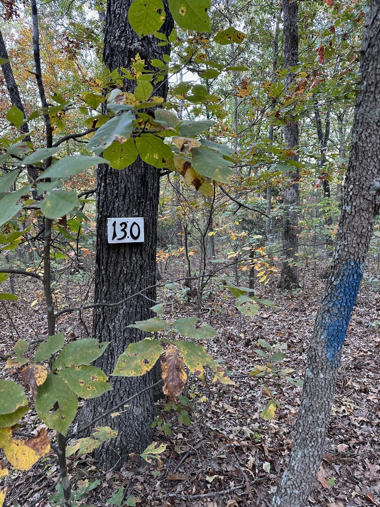 Peppers Camp