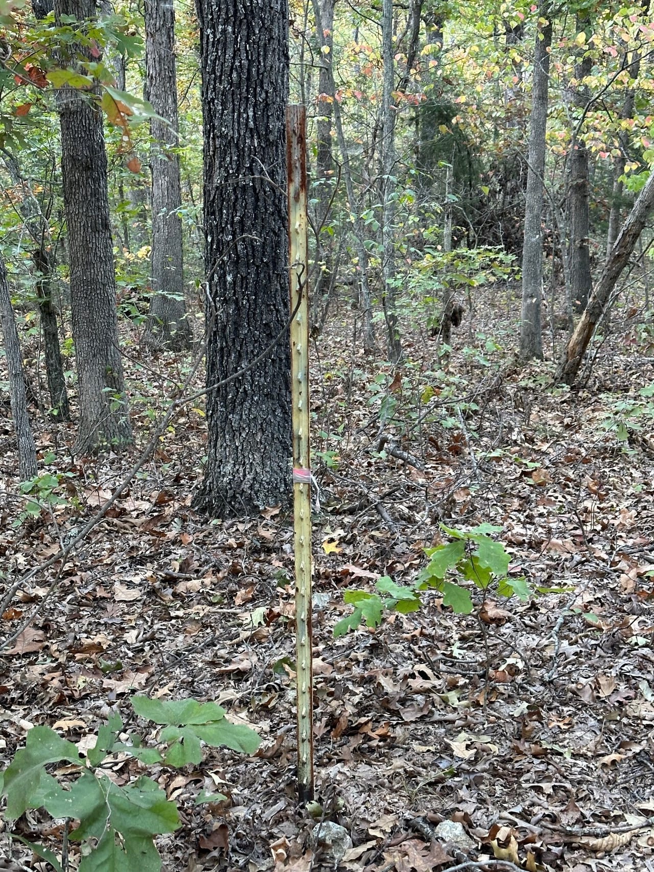 Peppers Camp