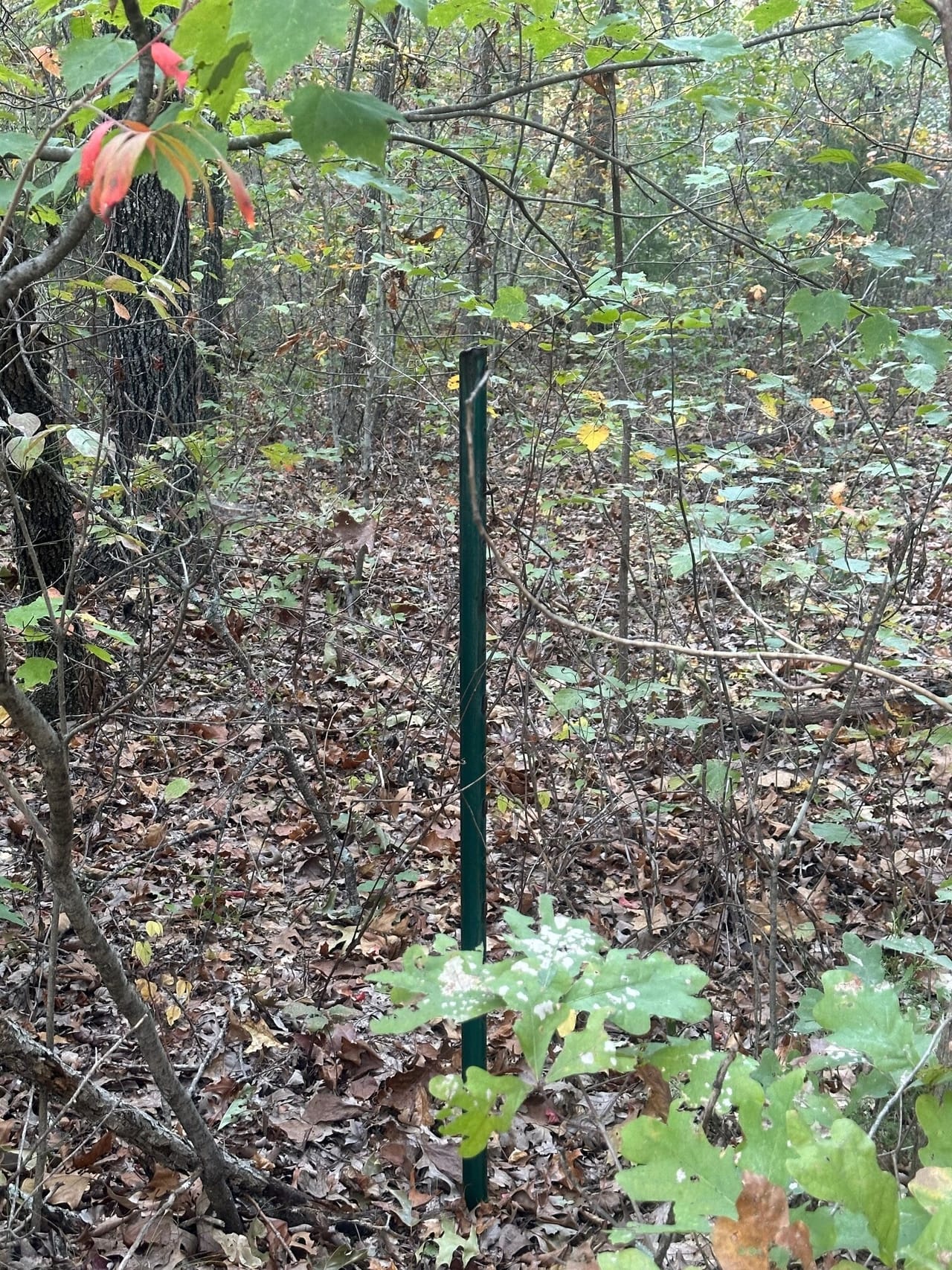 Peppers Camp