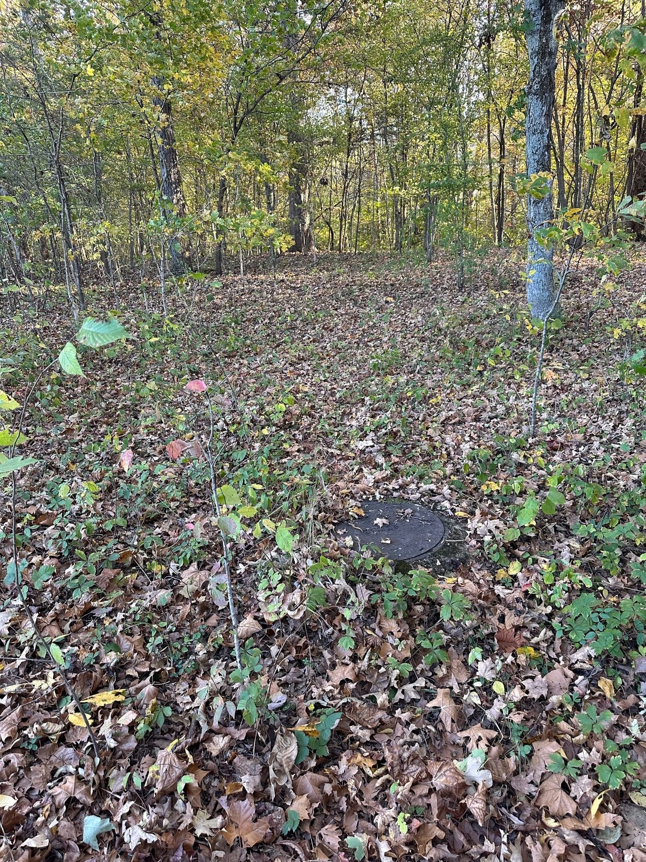 Listing Image 4