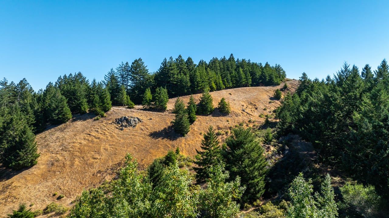 Mt. Zion Ranch