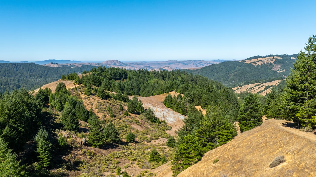 Mt. Zion Ranch