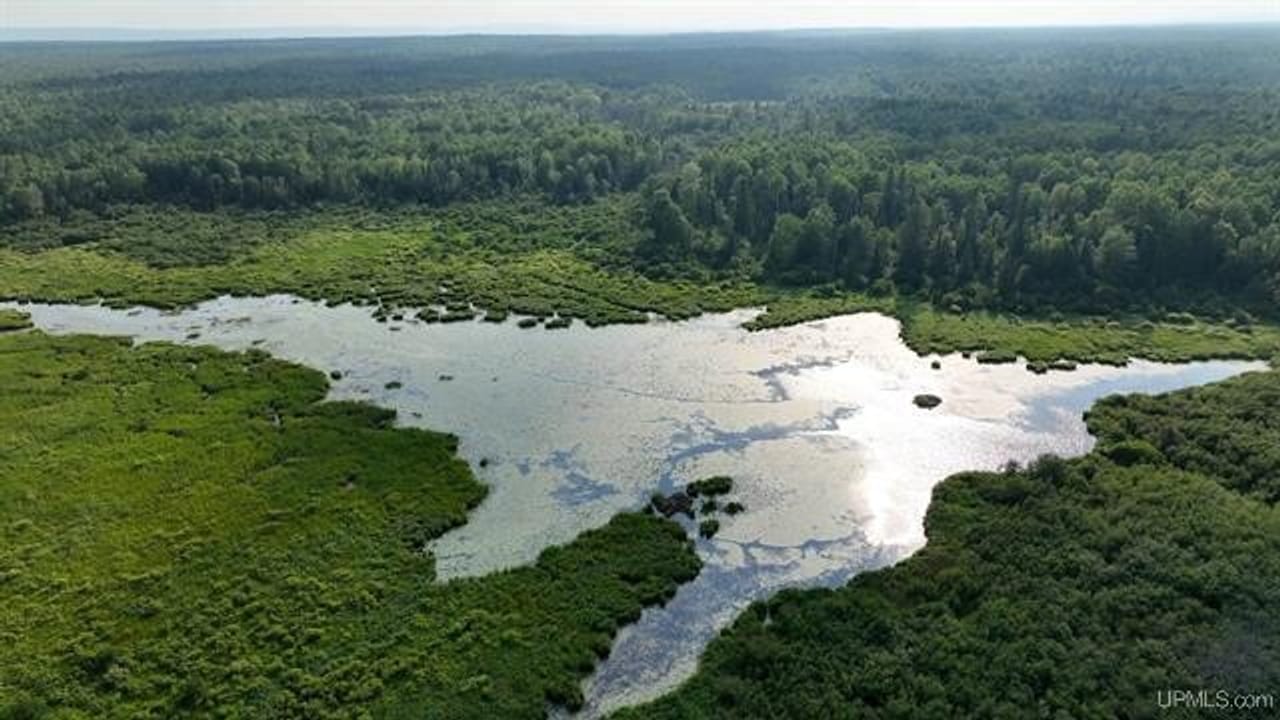 Parcel A-2 40 Acres 50160028