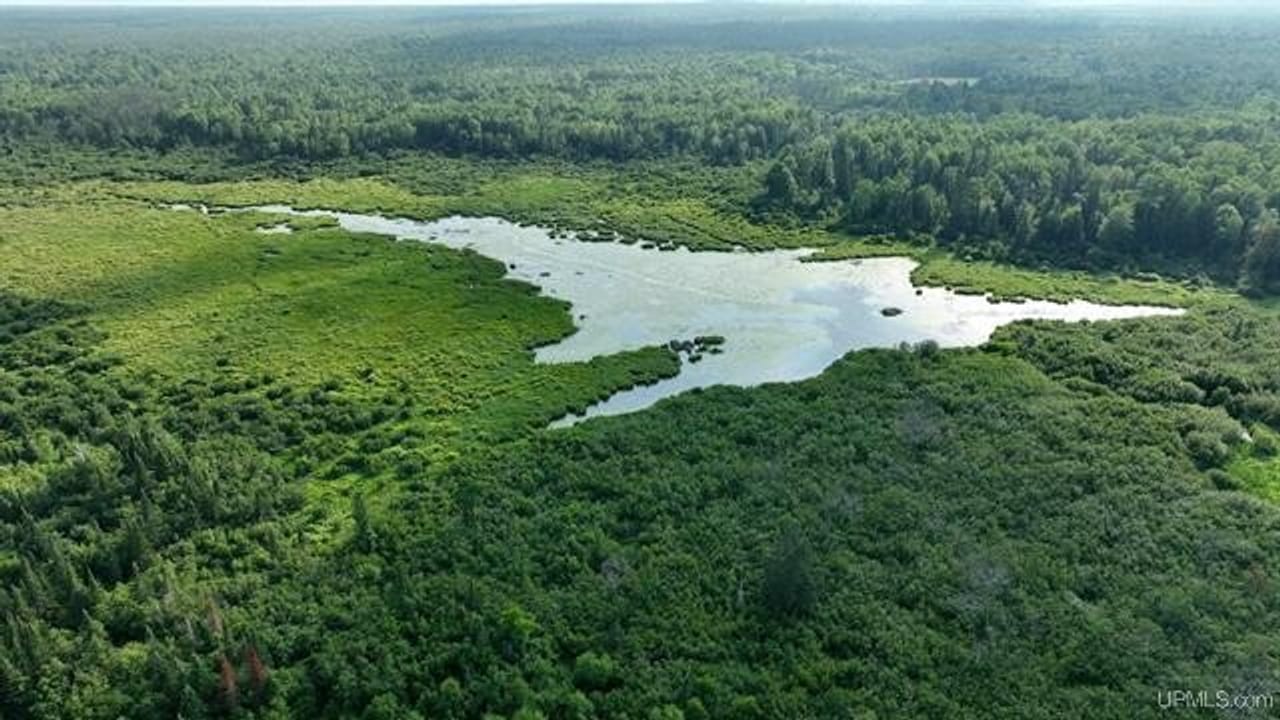 Parcel A-2 40 Acres 50160028