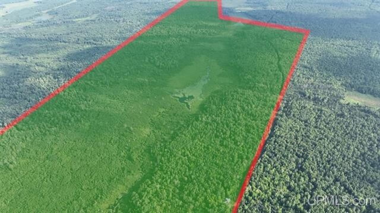 Parcel A-2 40 Acres 50160028