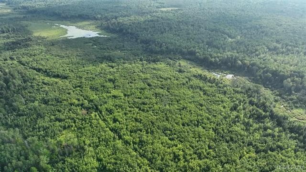 Parcel A-2 40 Acres 50160028