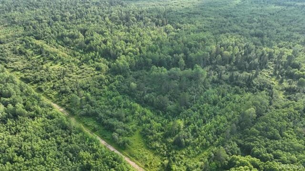 Parcel A-2 40 Acres 50160028