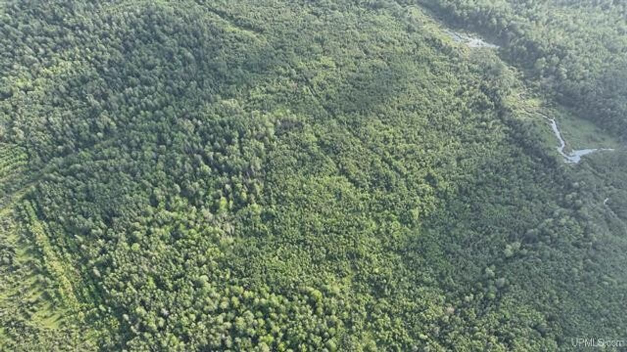 Parcel A-2 40 Acres 50160028