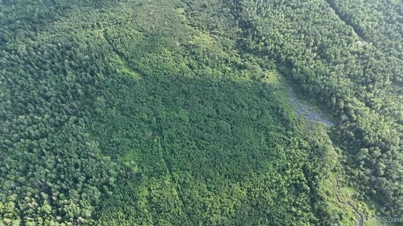 Parcel A-2 40 Acres 50160028