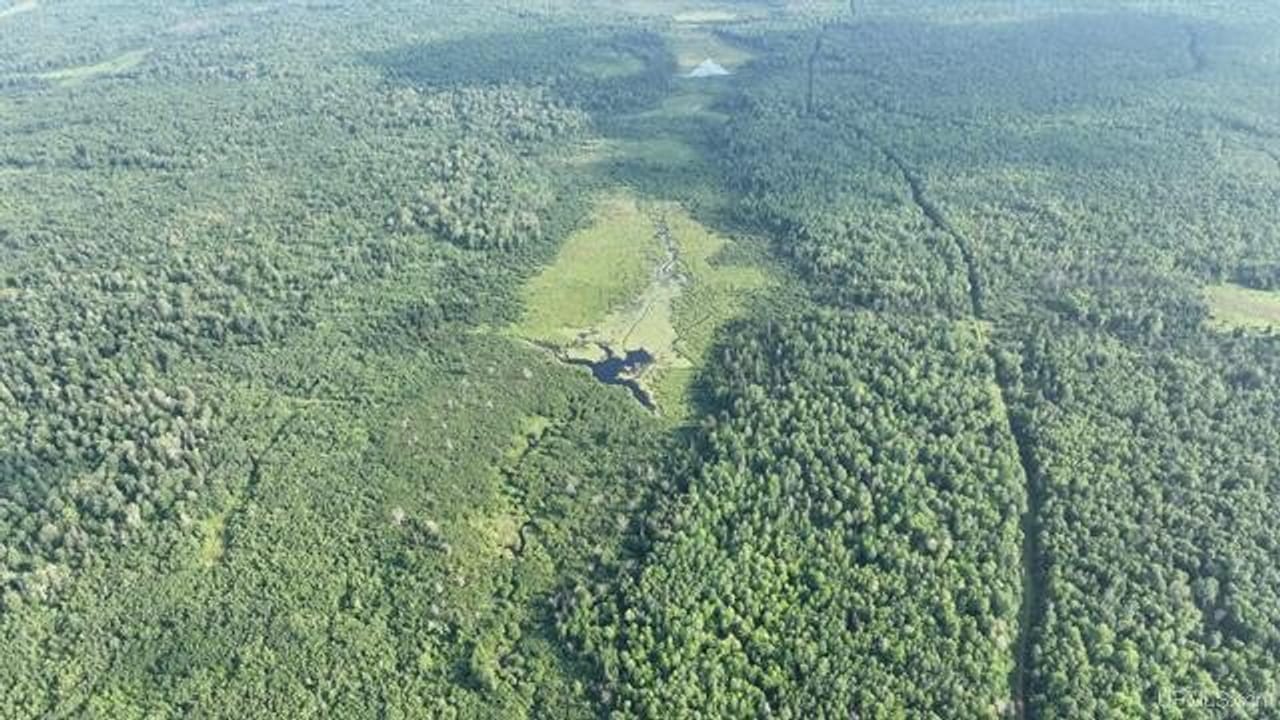 Parcel A-2 40 Acres 50160028