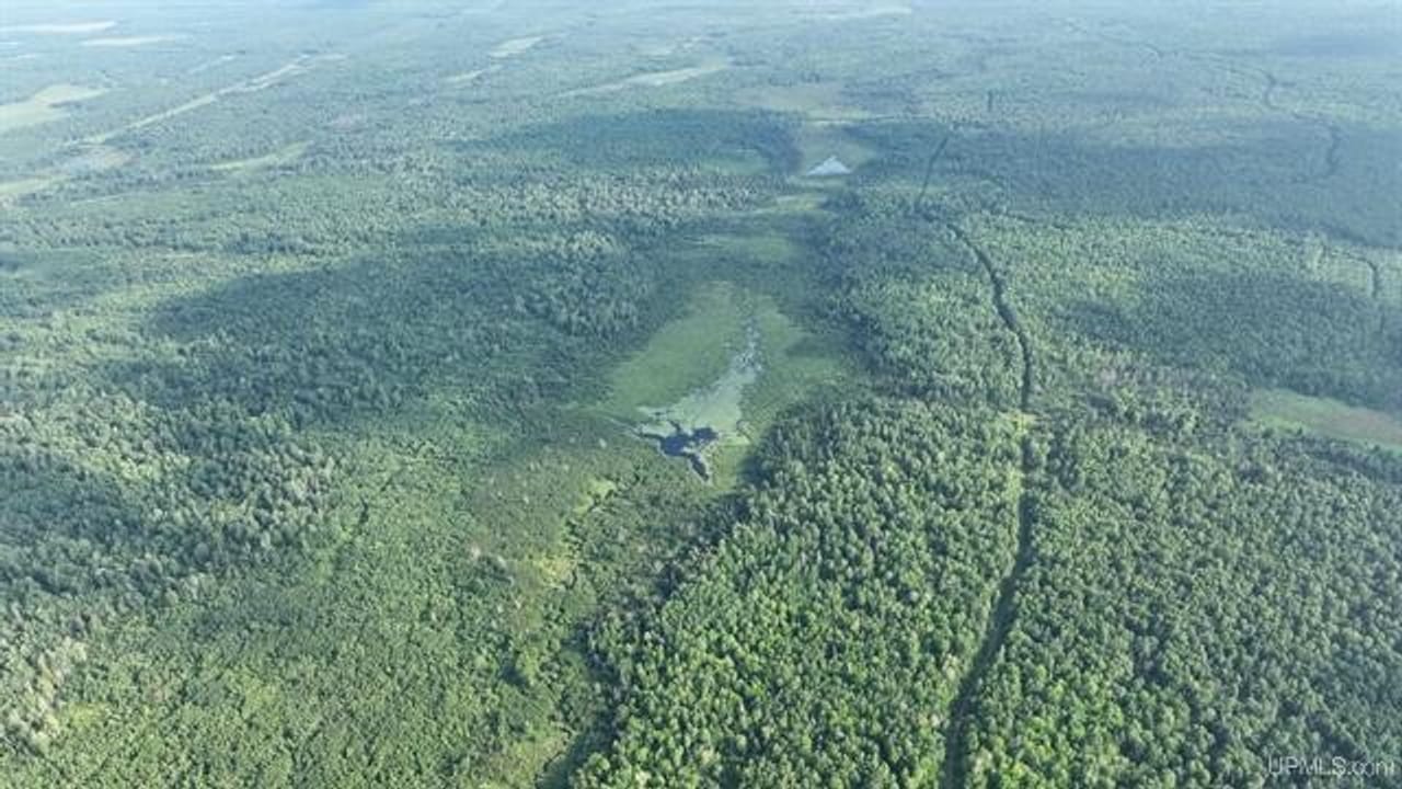 Parcel A-2 40 Acres 50160028