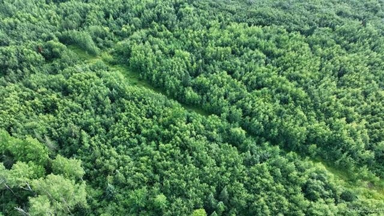 Parcel A-2 40 Acres 50160028